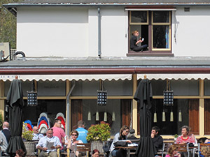 Girl in Window