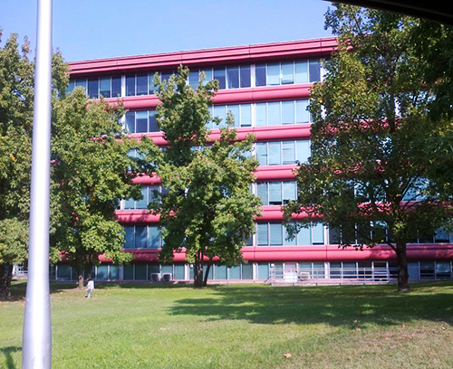 One of the many buildings on the ENI Petrol campus, now with clean blinds!